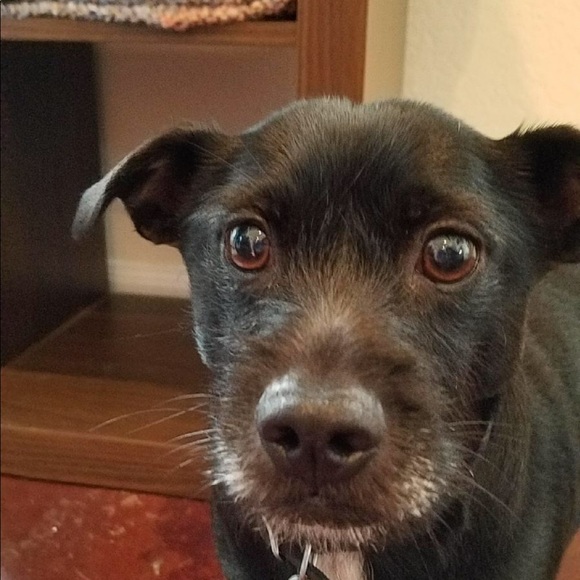 Meet your Posher, Lura - Picture 8 of 8